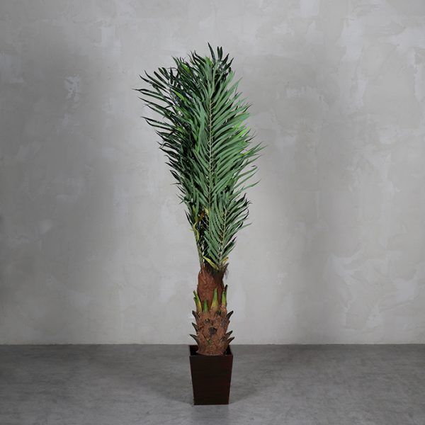 La Palmera