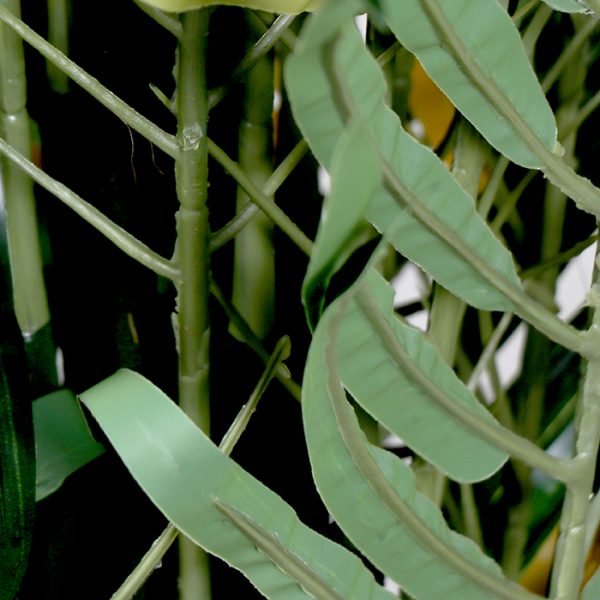 La Palmera