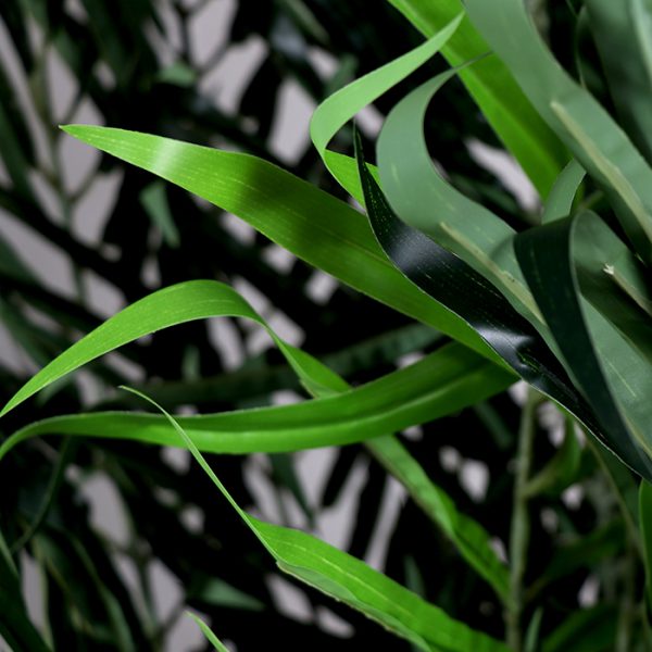 La Palmera