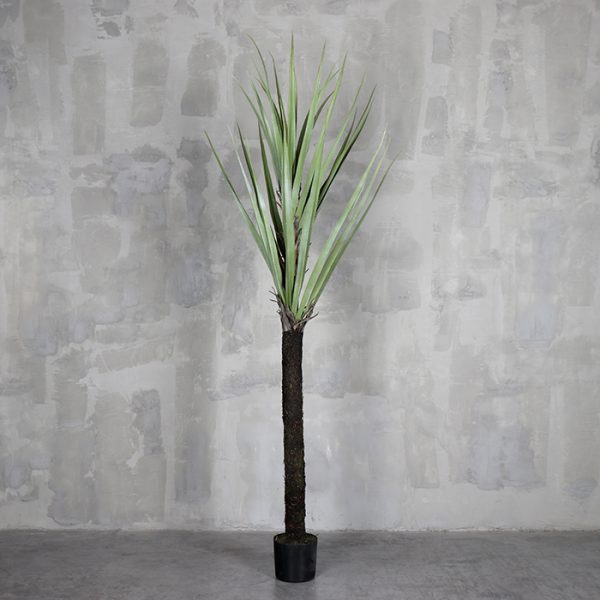 Árbol Tridente