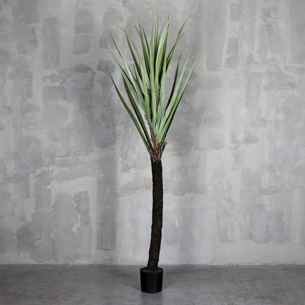 Árbol Tridente