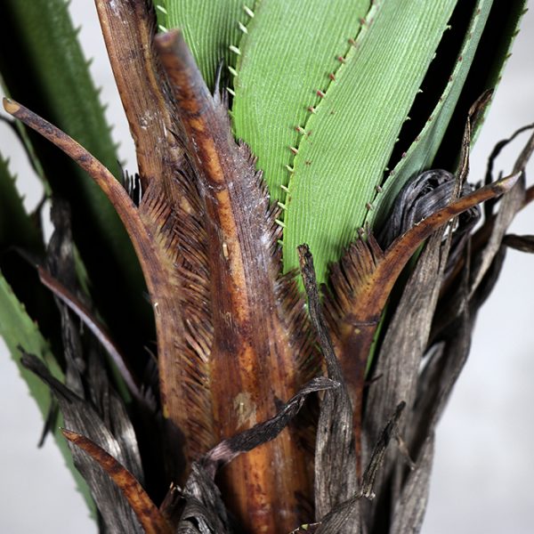 Árbol Tridente
