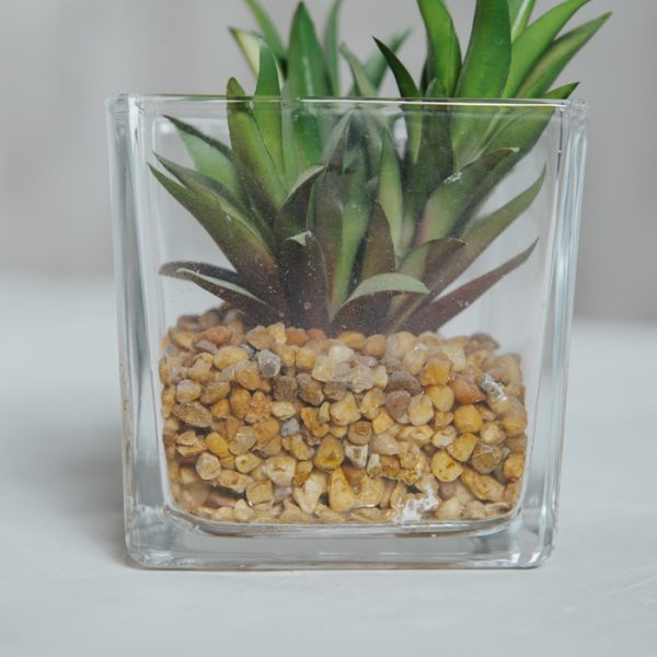 Planta Artificial Base Cemento VI
