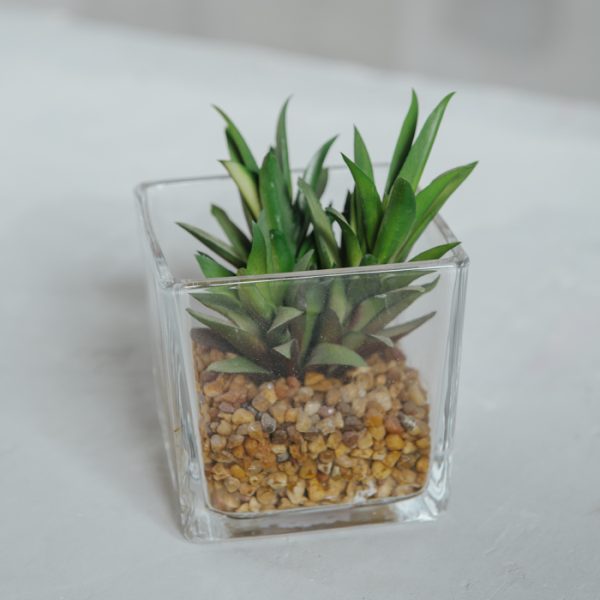 Planta Artificial Base Cemento VI